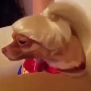 Meet your Posher, Marlenne